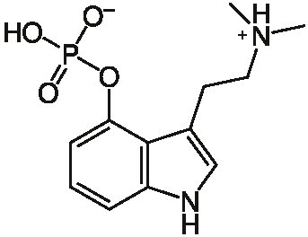 _ _ _Psilocybin mushrooms_ _4-Phosphoryloxy-N_N-dimethyltryptamine_.jpg