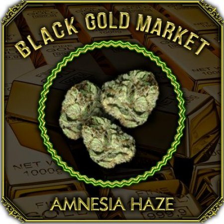 Amnesia Haze.jpg