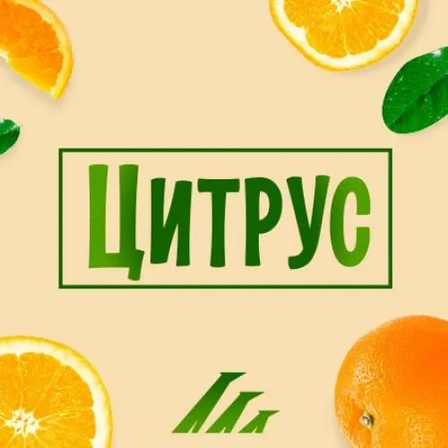 Цитрус.webp