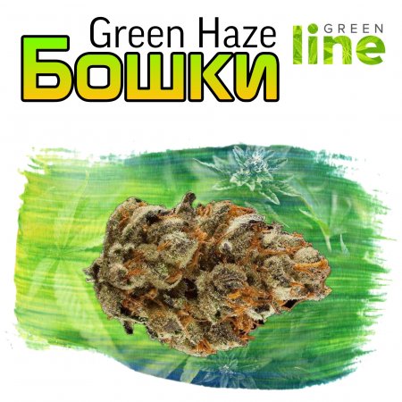 Green Haze _.jpg