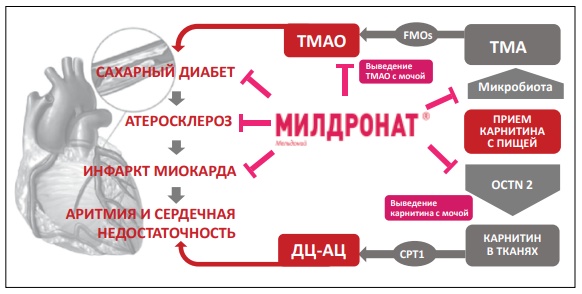 Мельдоний.jpg