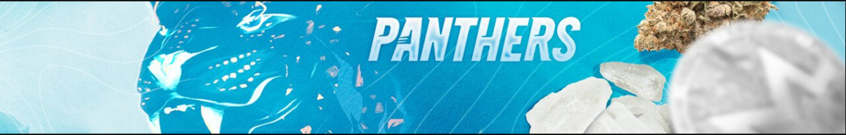 PANTHERS.png