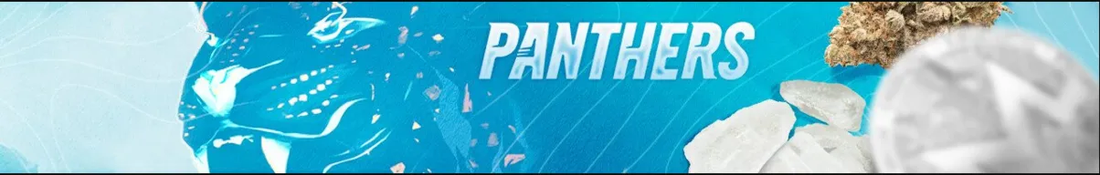 PANTHERS.webp