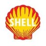 IgorShelll